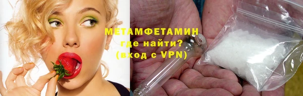 шишки Калининец