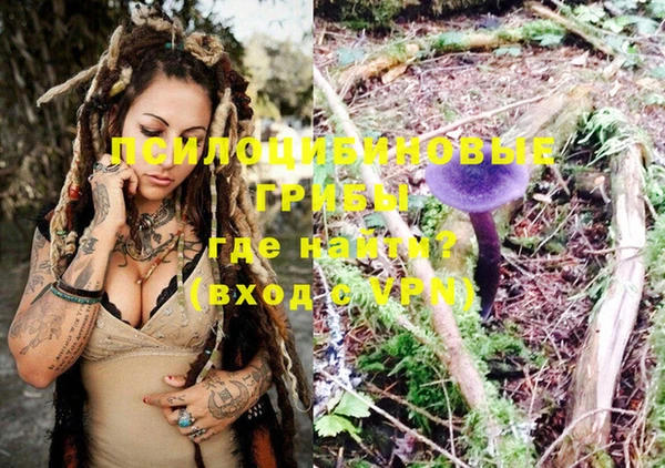 молекула духа Гусиноозёрск