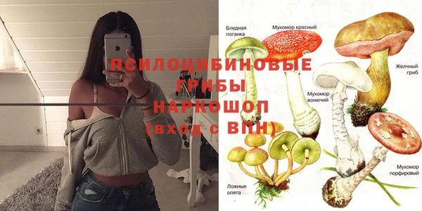 jwh Гусев