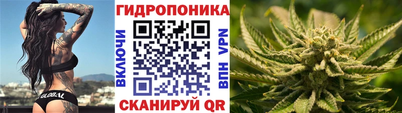 где продают наркотики  Могоча  Канабис план 
